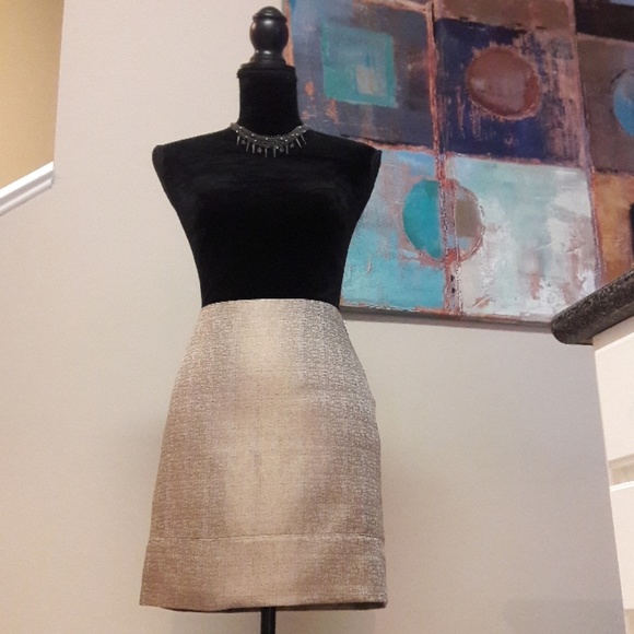 Ann Taylor Dresses & Skirts - Ann Taylor/ Metallic Gold/ Pencil Skirt
